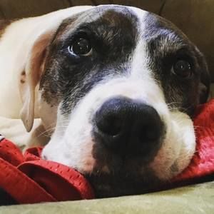 Meet your Posher, Marie ann